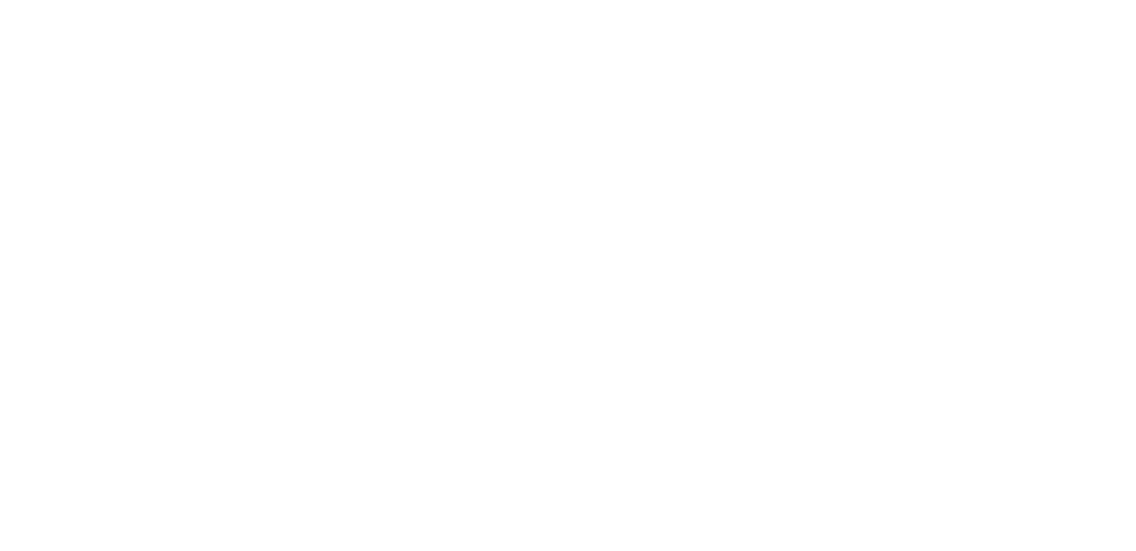 Twin Force