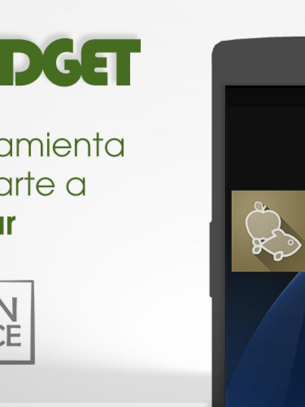 ECO Widget